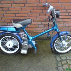 Honda Express (SOLGT)