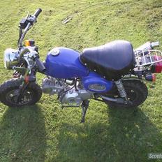 Skyteam monkey(byttet til dr big)