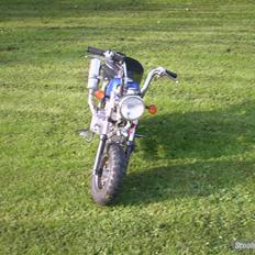 Skyteam monkey(byttet til dr big)