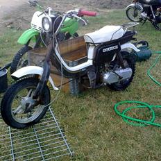 Suzuki FZ50 