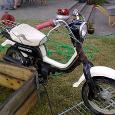 Suzuki FZ50 