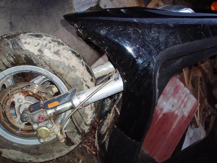 Piaggio Typhoon eu 45 billede 13