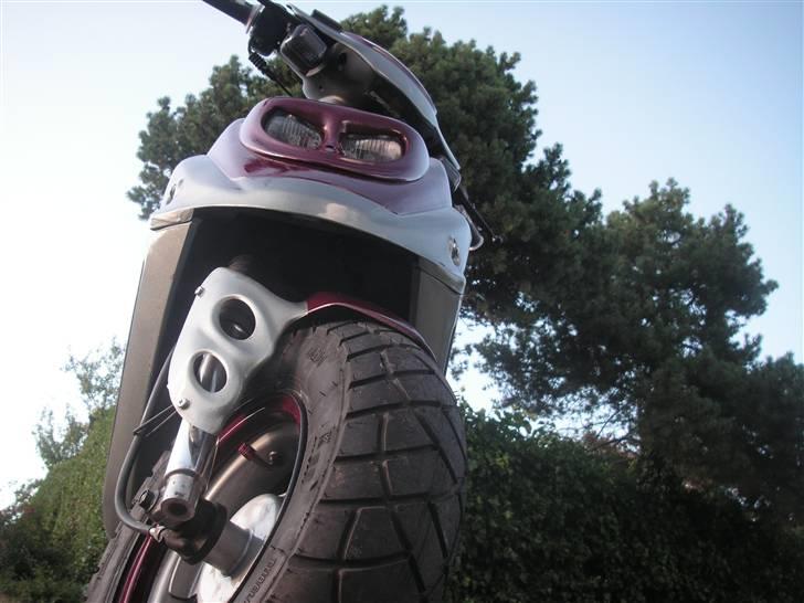 PGO Hot 50 billede 7