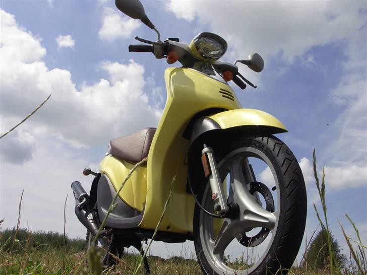 Yamaha Why YH50 (30) billede 1