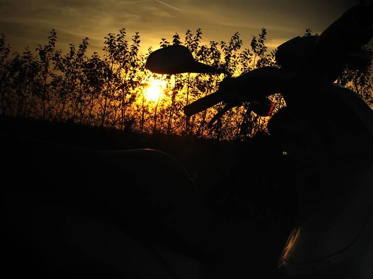 Yamaha Why YH50 (30) billede 12