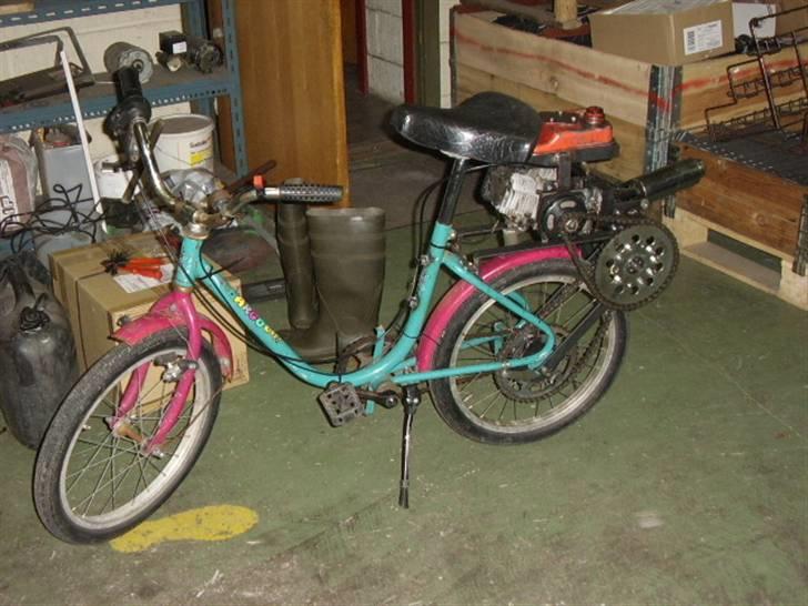 Veteraner hjemme byg billede 1