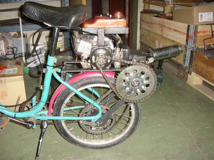 Veteraner hjemme byg billede 2