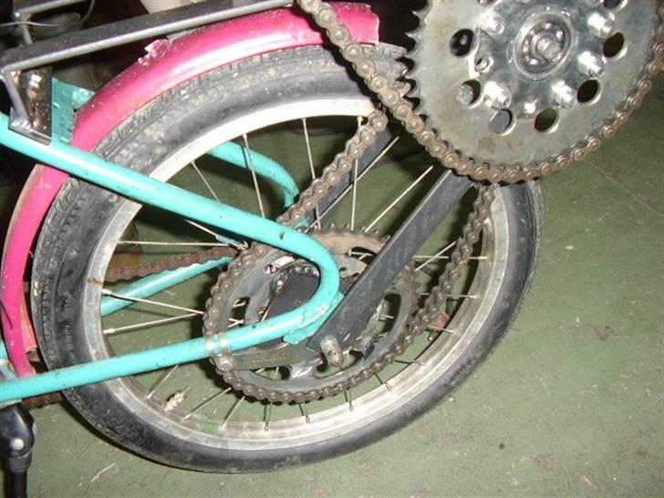 Veteraner hjemme byg billede 3