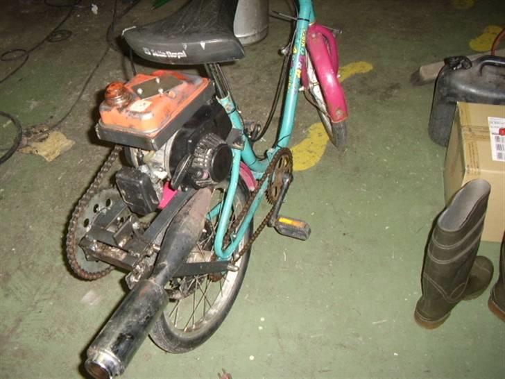 Veteraner hjemme byg billede 4