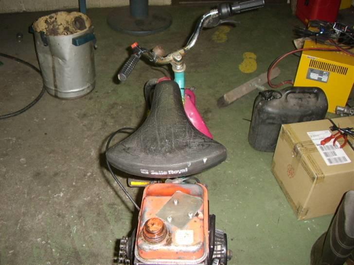 Veteraner hjemme byg billede 5