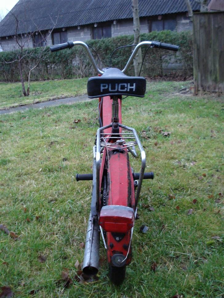 Puch Maxi billede 4