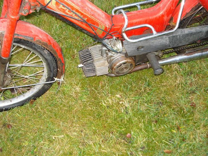 Puch Maxi billede 7