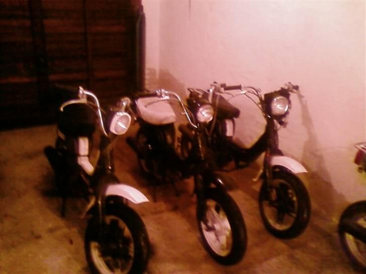 Suzuki Fz50  ( Før nr 2) billede 11