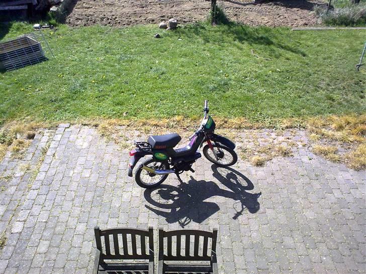 Yamaha sting  billede 4