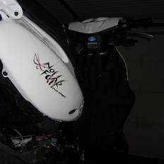 PGO PmX No Fear - SOLGT :/