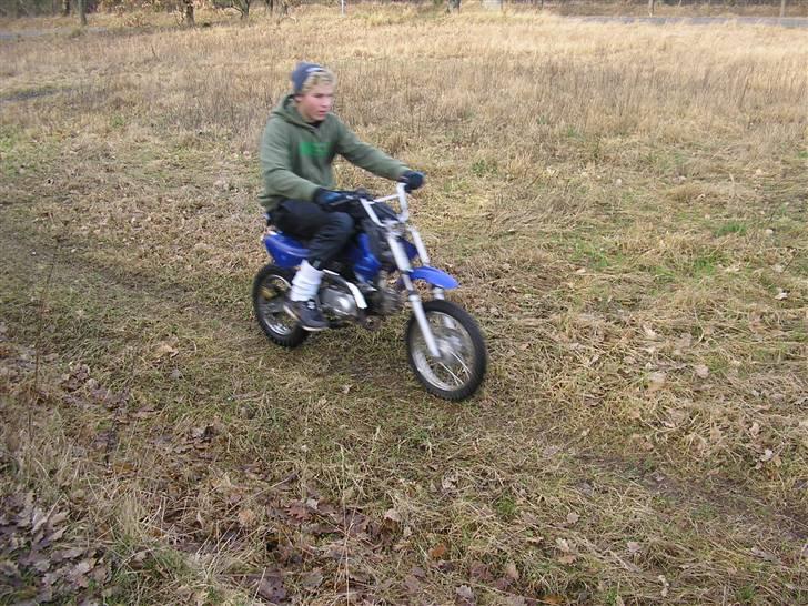 MiniBike 110cc (byttet til DM 50) billede 6