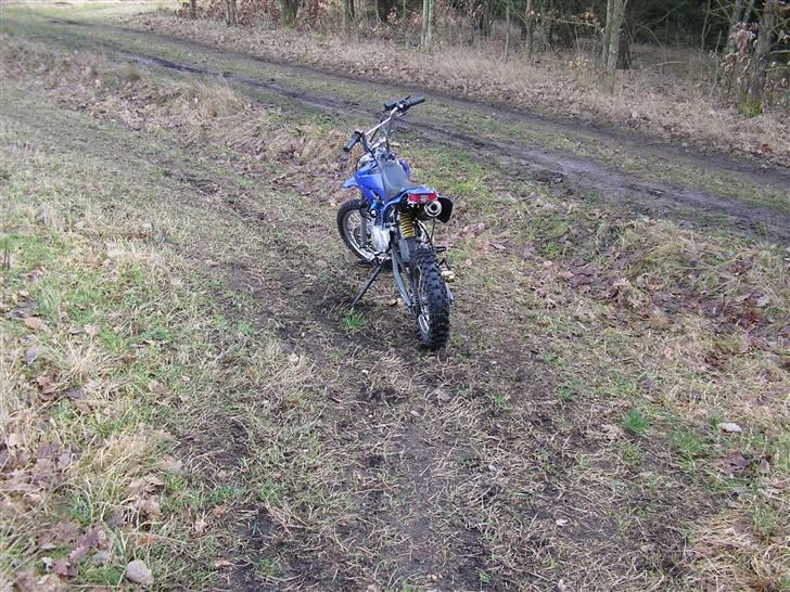 MiniBike 110cc (byttet til DM 50) billede 10