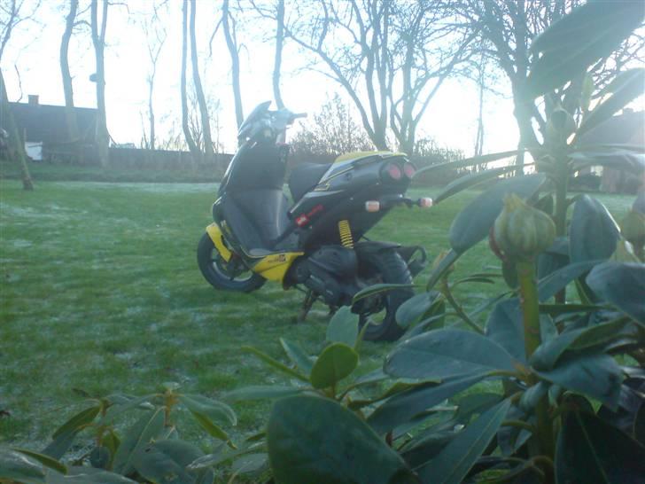 Aprilia Sr50 Ditech *Solgt* billede 10