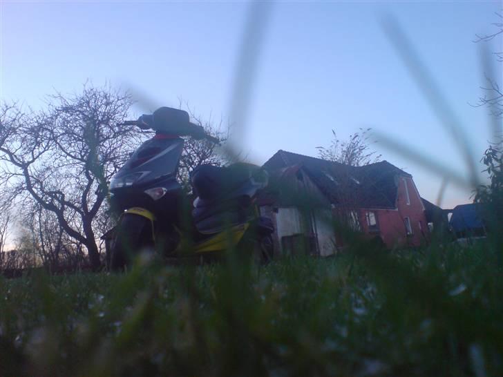 Aprilia Sr50 Ditech *Solgt* billede 11