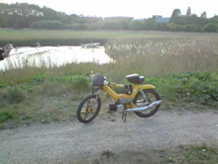 Puch Maxi KL Solgt billede 2