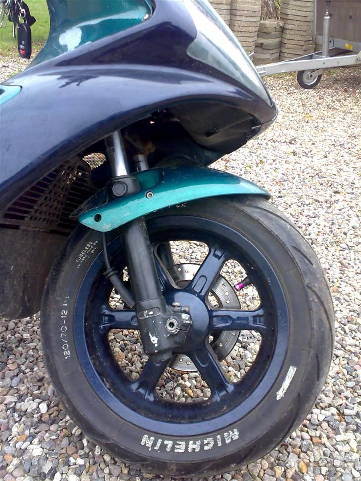 Benelli 491 Ac SD billede 4