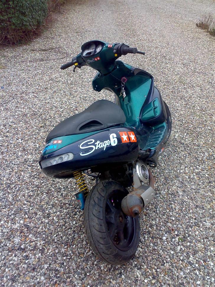 Benelli 491 Ac SD billede 6