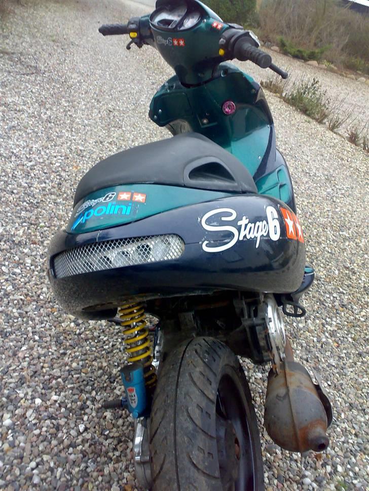 Benelli 491 Ac SD billede 8