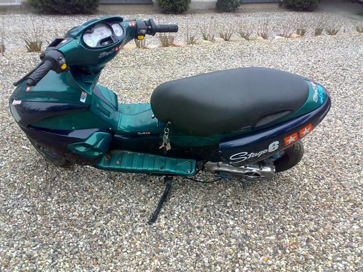 Benelli 491 Ac SD billede 9