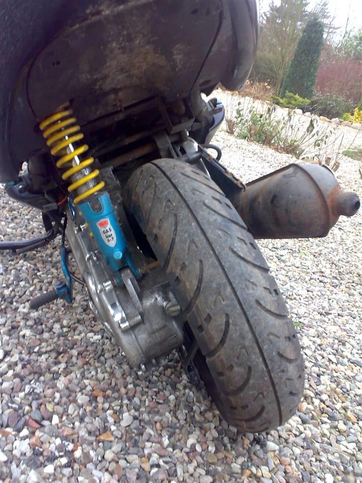 Benelli 491 Ac SD billede 11