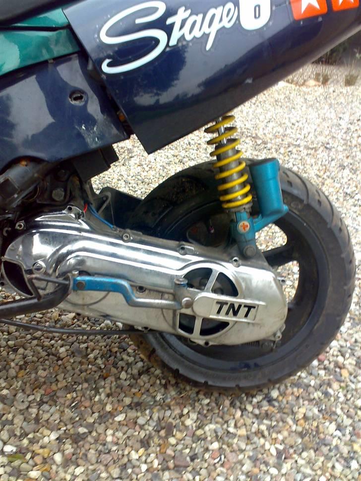 Benelli 491 Ac SD billede 12