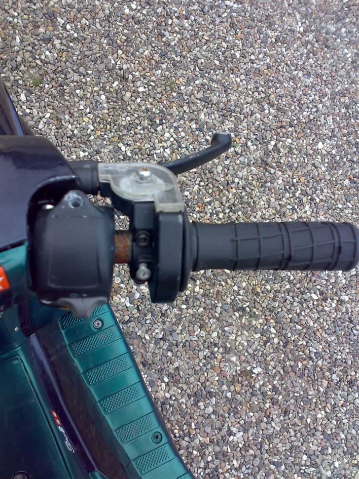 Benelli 491 Ac SD billede 15