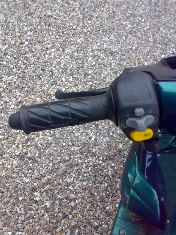 Benelli 491 Ac SD billede 16