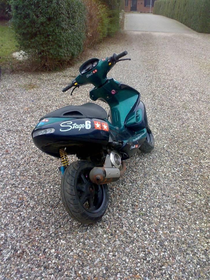 Benelli 491 Ac SD billede 18