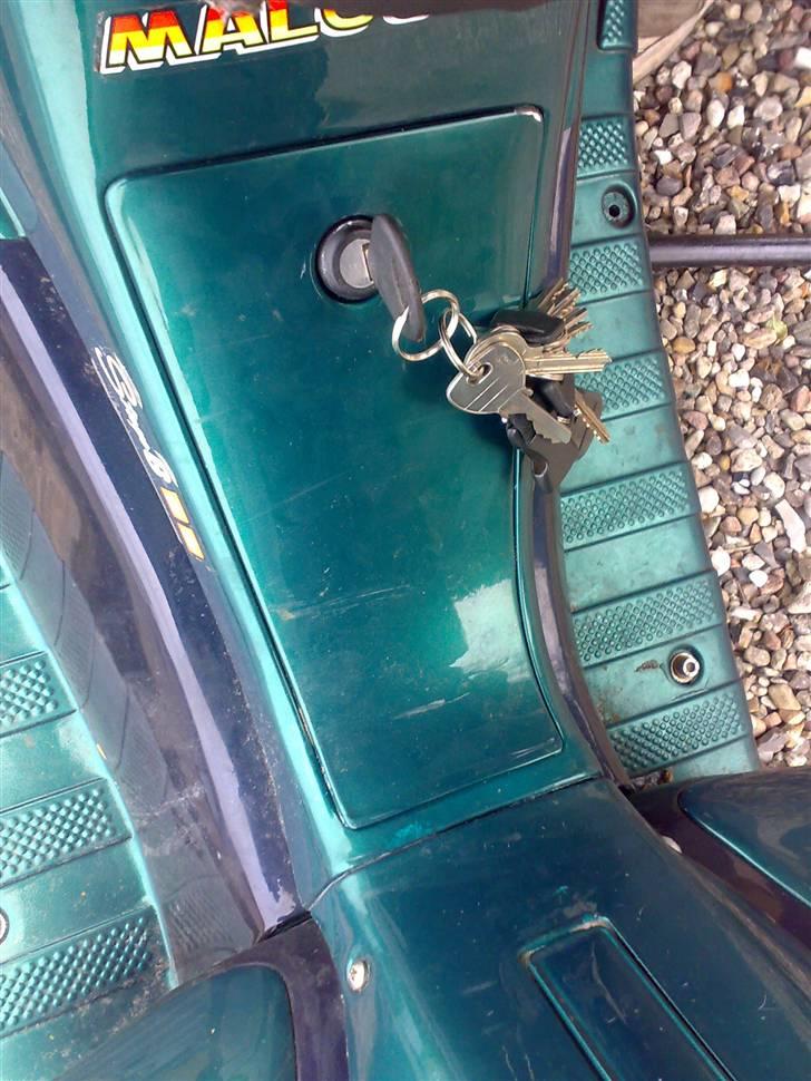 Benelli 491 Ac SD billede 19