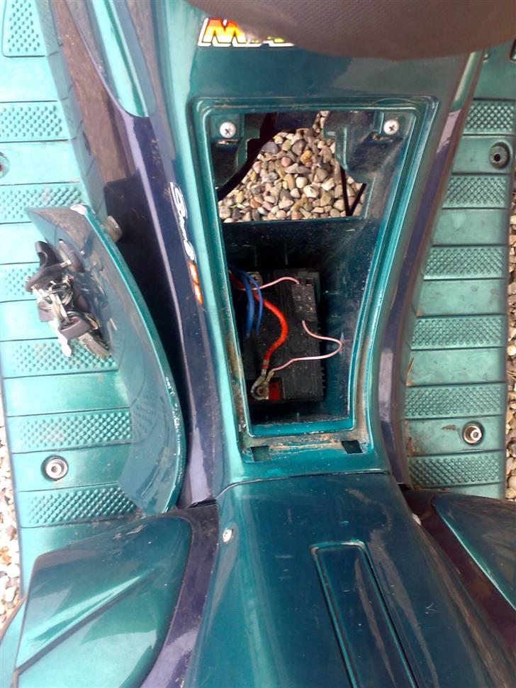 Benelli 491 Ac SD billede 20