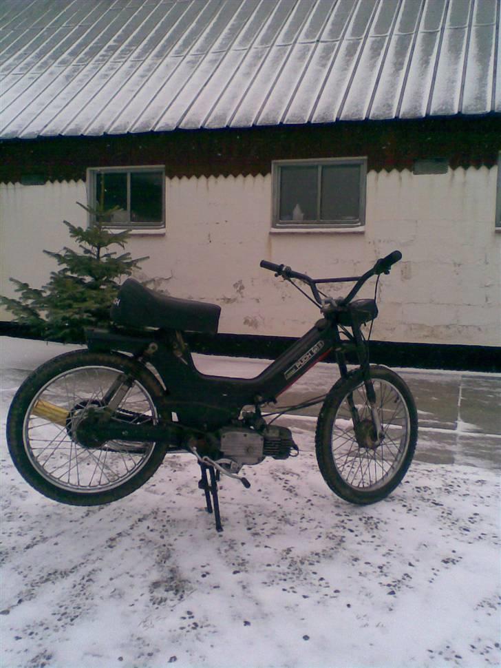 Puch maxi 2-gear (byttet) billede 12