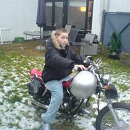 Regal raptor >>>solgt<<<