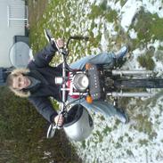 Regal raptor >>>solgt<<<