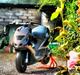 Piaggio Nrg T.C.R  