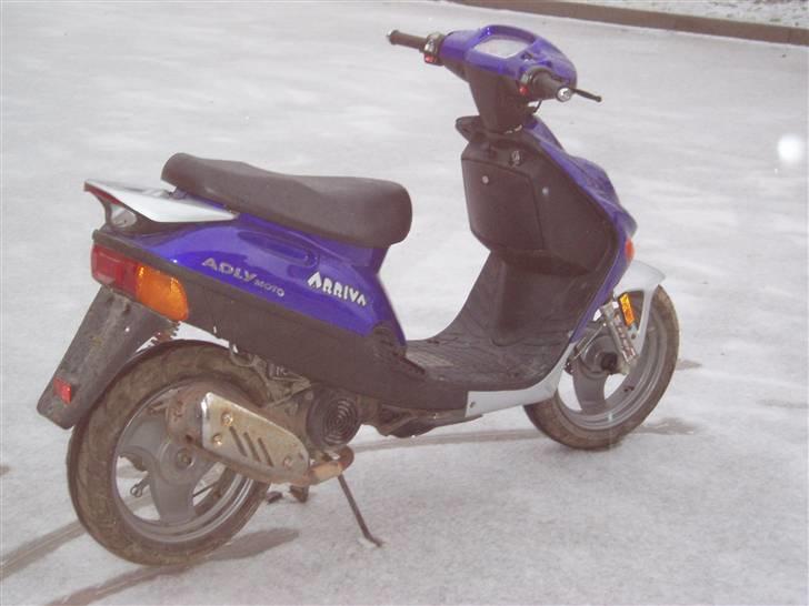 Adly Arriva Til Salg billede 2