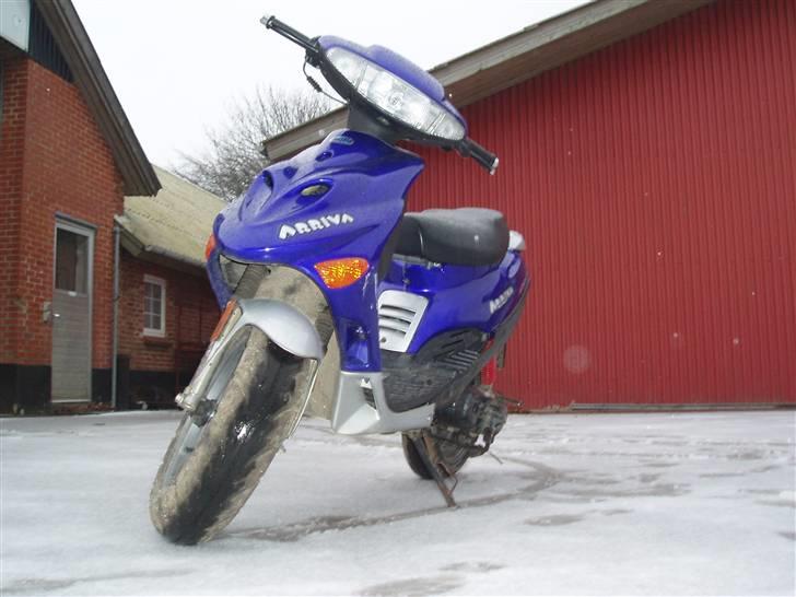 Adly Arriva Til Salg billede 5