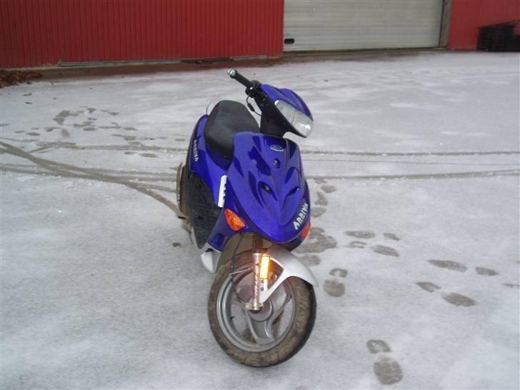 Adly Arriva Til Salg billede 6