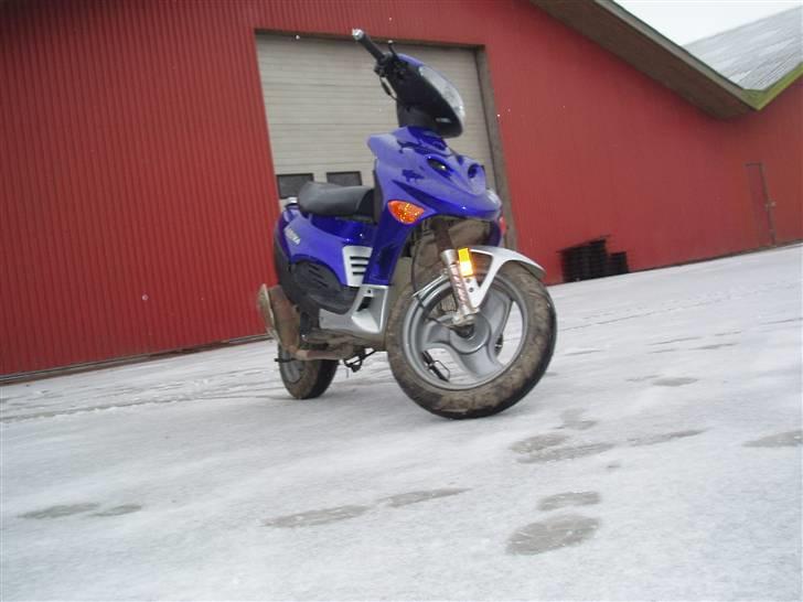 Adly Arriva Til Salg billede 7