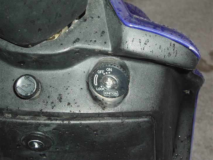 Adly Arriva Til Salg billede 9