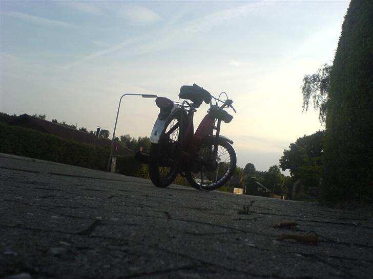 Puch maxi solgt billede 1