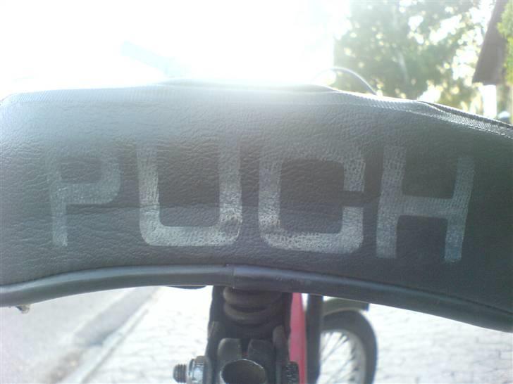 Puch maxi solgt billede 2