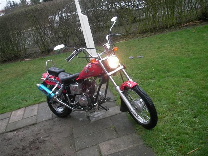 Regal Raptor SOLGT billede 1