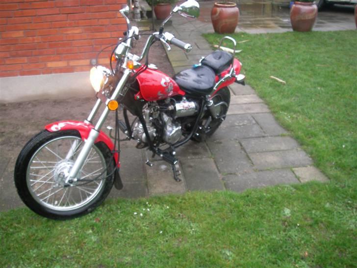 Regal Raptor SOLGT billede 3