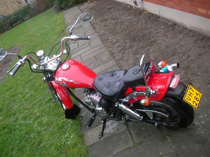 Regal Raptor SOLGT billede 4