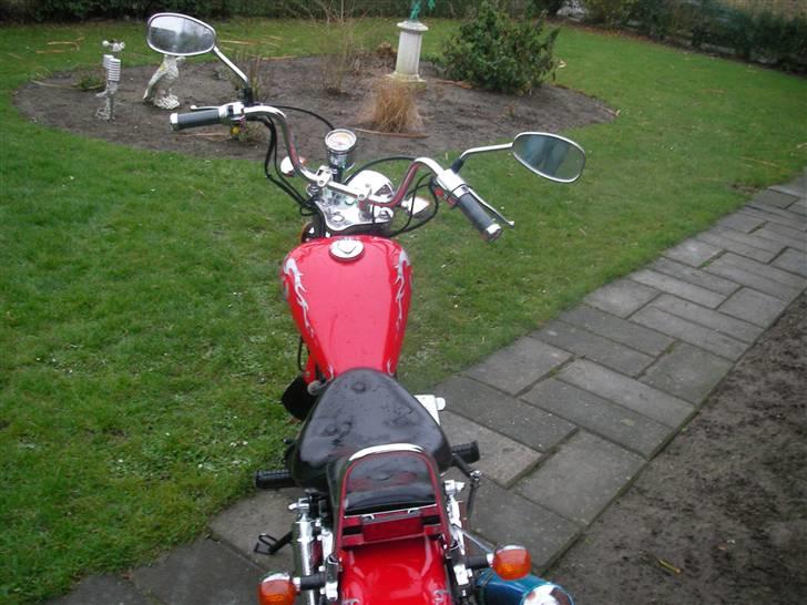 Regal Raptor SOLGT billede 5